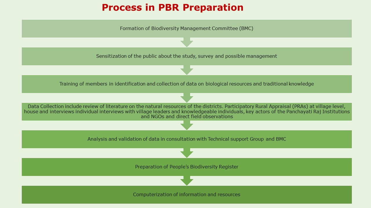 PBR process